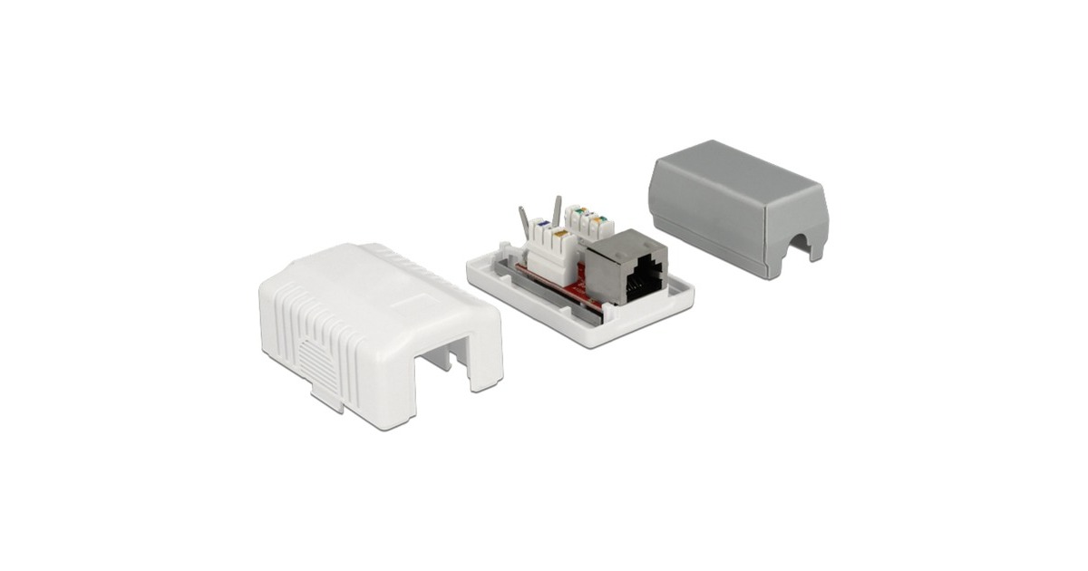 DeLOCKNetwork Wall Outlet 1 Port Cat.6A LSA montagedoos  (Wit)