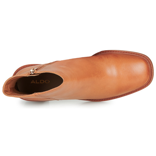 Aldo - FILLY - Camel
