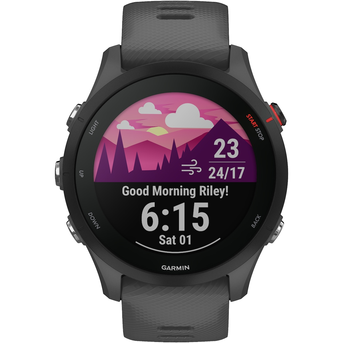 Garmin Forerunner 255 sportsklokke (skifergrå)
