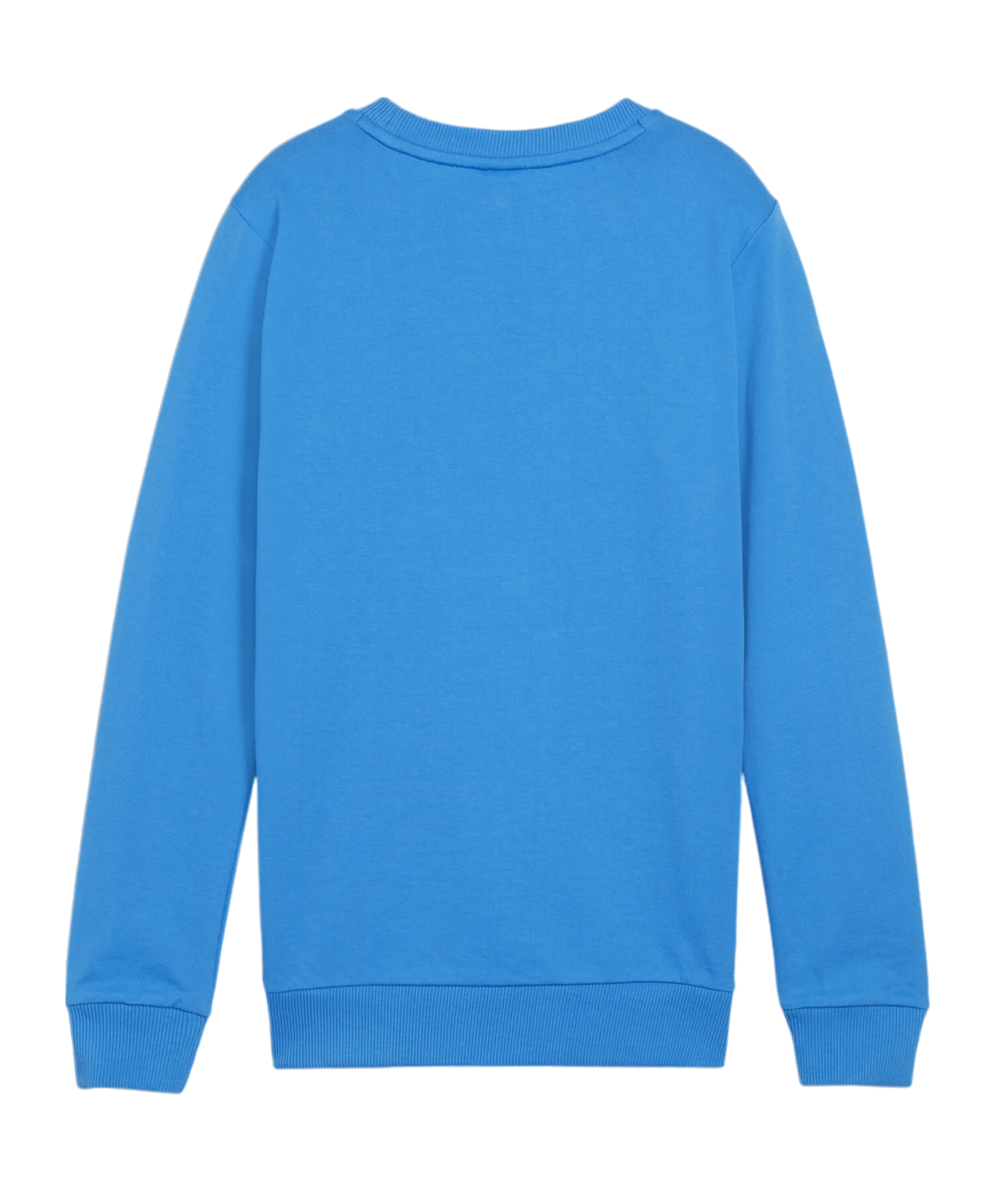 PUMA teamGOAL Casuals Sweatshirt Kids Blau F02