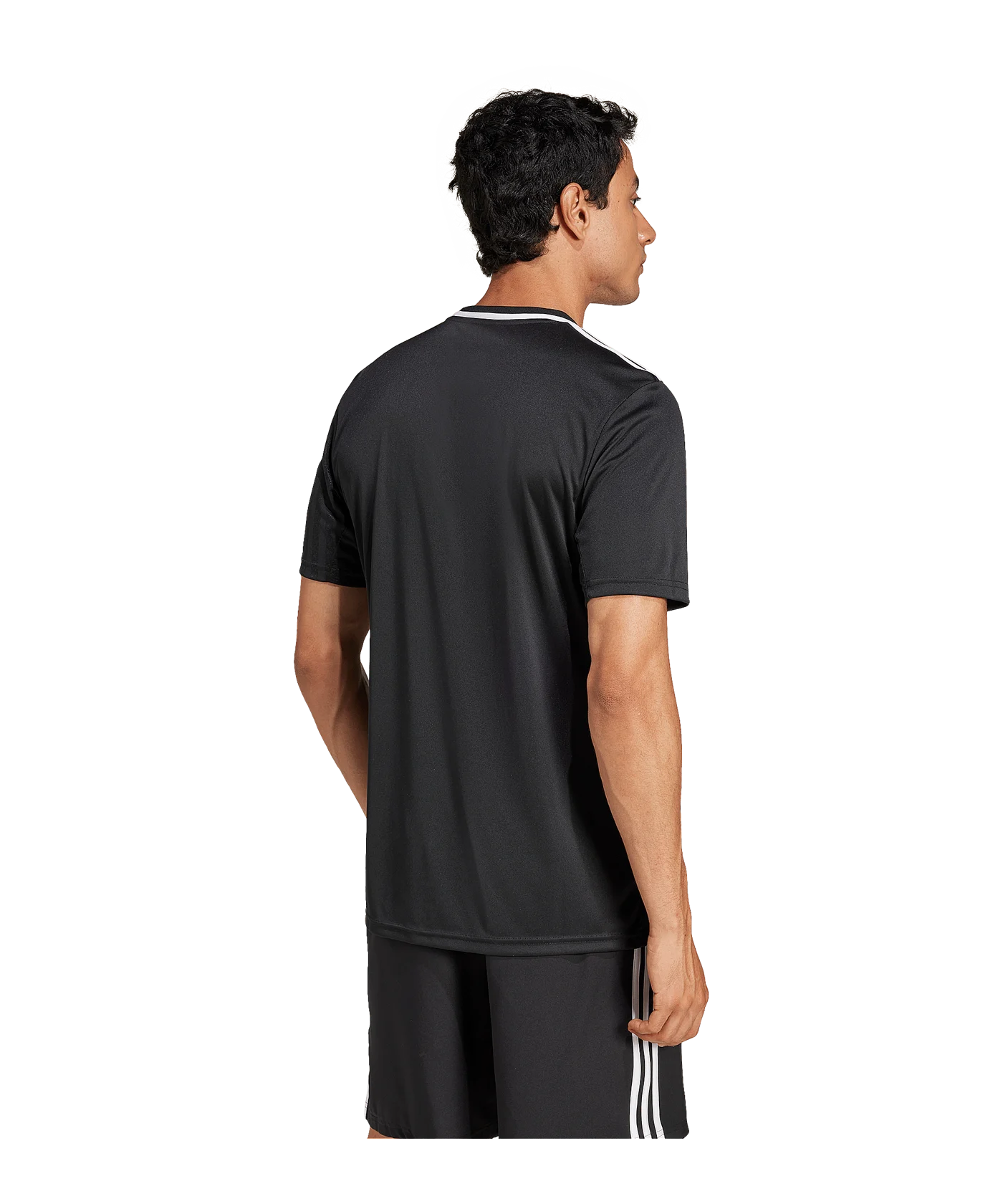 adidas Campeon 25 Trikot Schwarz