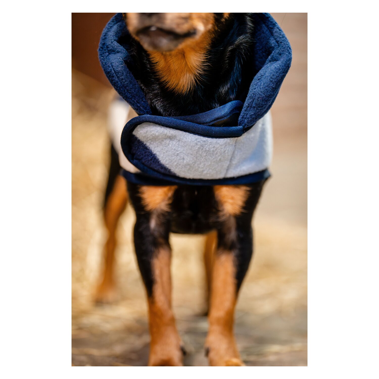 HORSEWARE Hundemantel Fleece  - whitney/navy