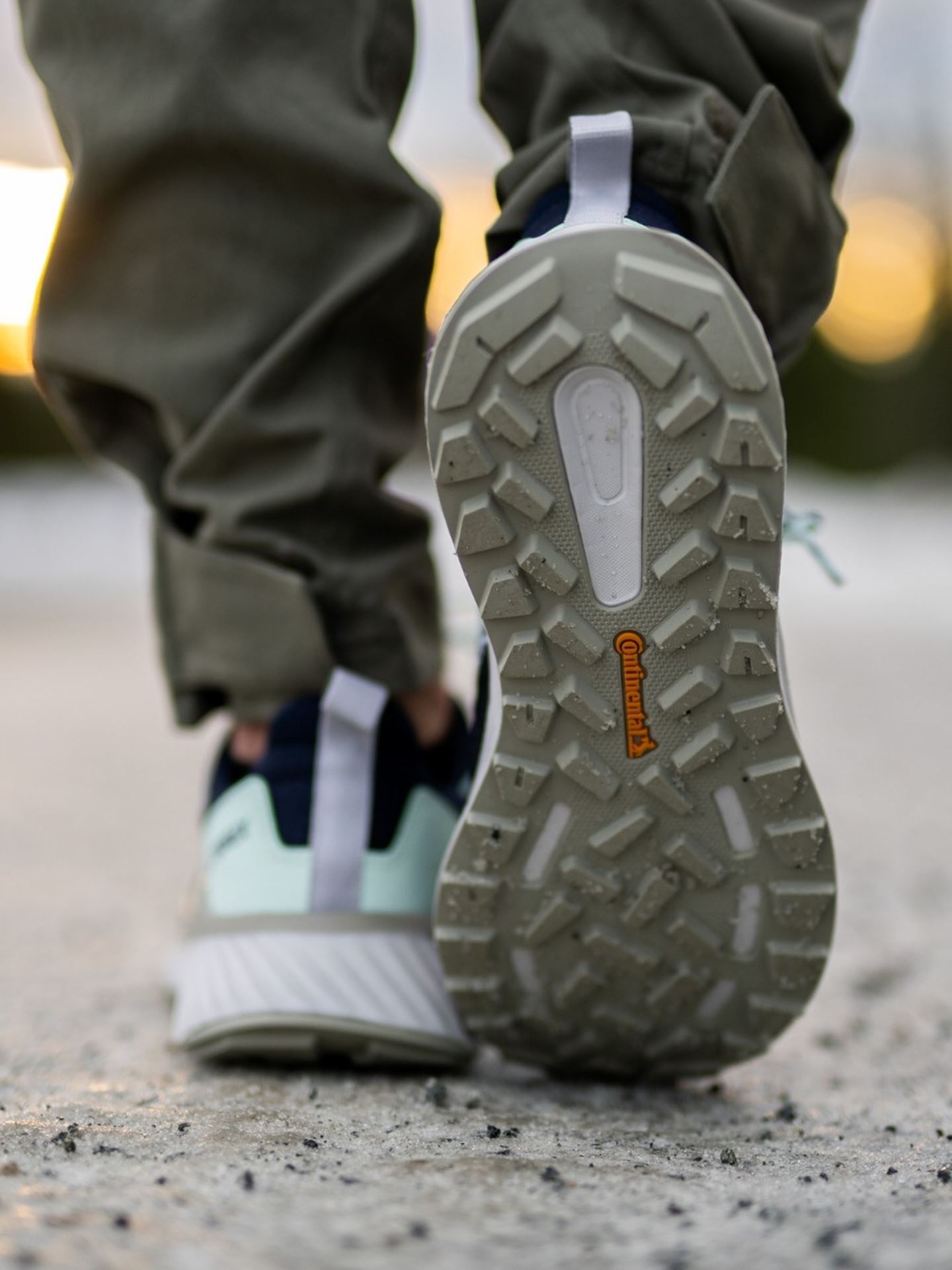 Terrex GoreTex Folgian Hike