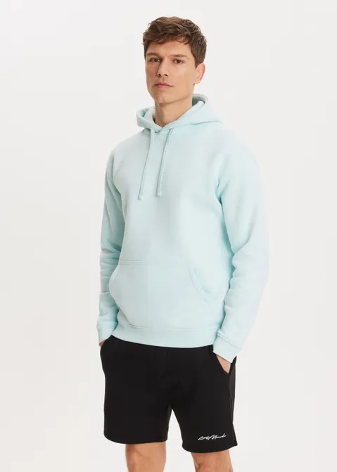 Brushed hoodie blauw (BLW.BA)