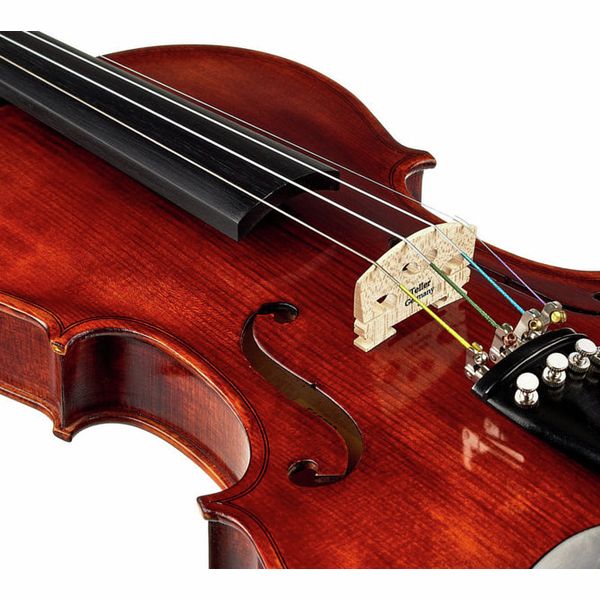 Roth & Junius Europe Antiqued Violin Set 4/4