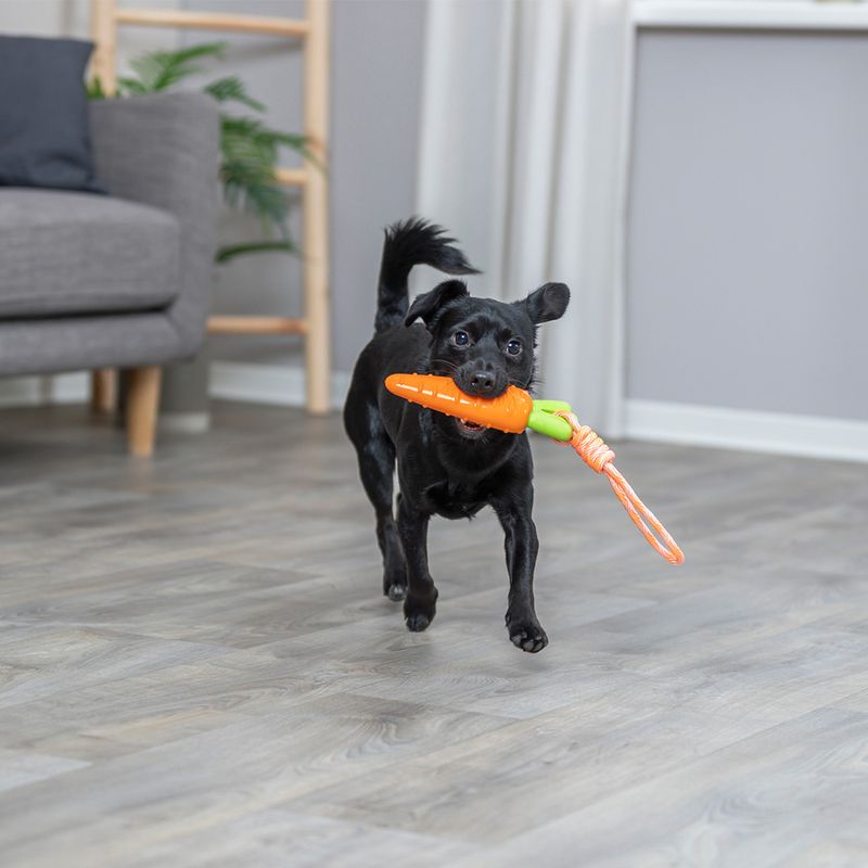 Jouet Trixie Carotte en corde pour chien