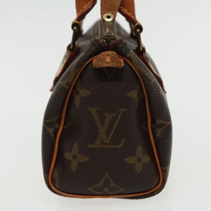 Louis Vuitton Vintage Louis Vuitton Speedy Brown