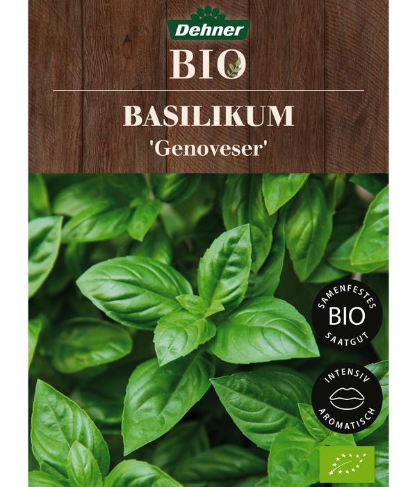 Dehner Bio-Saatgut Basilikum 'Genoveser'