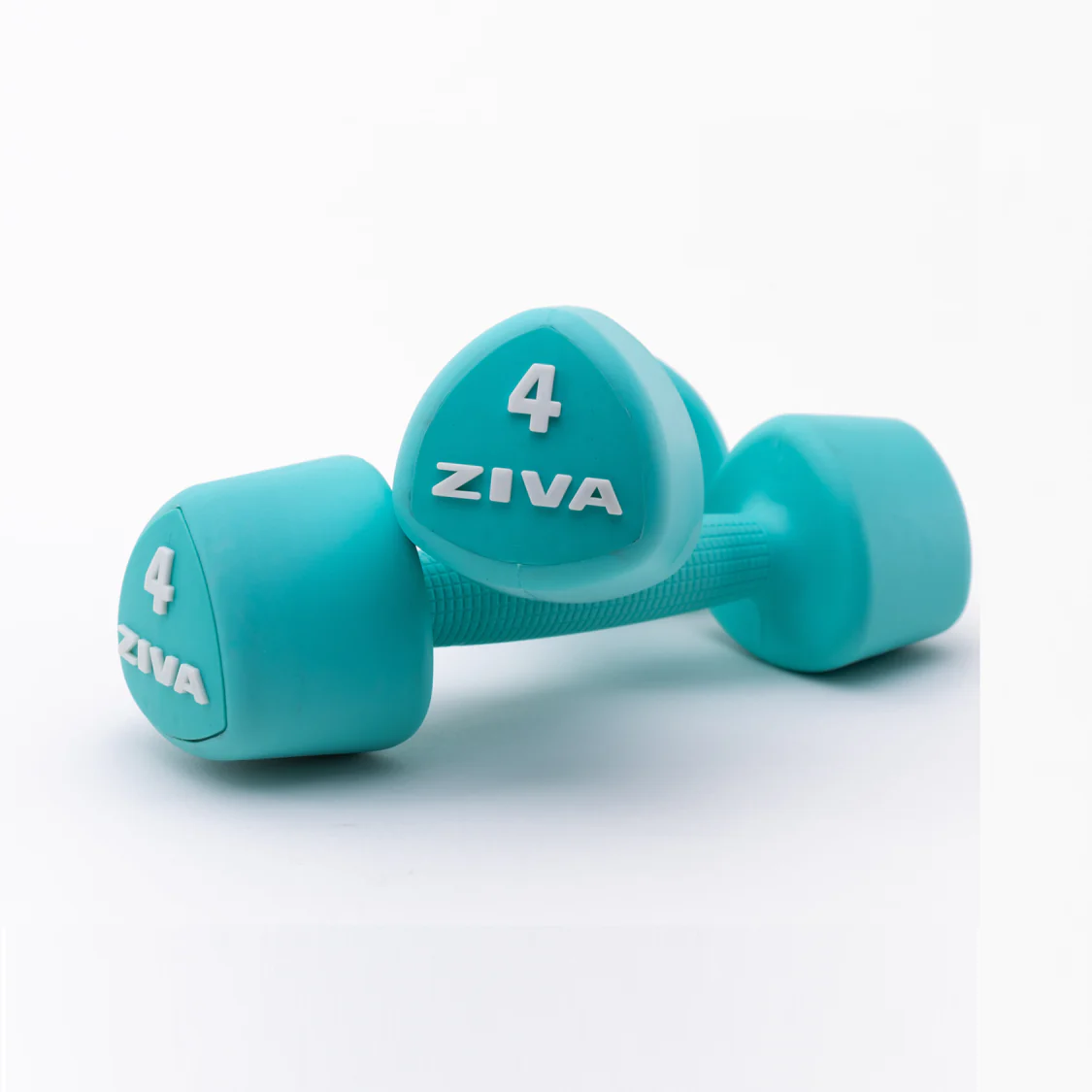 ZIVA Studio Tribel Dumbbells