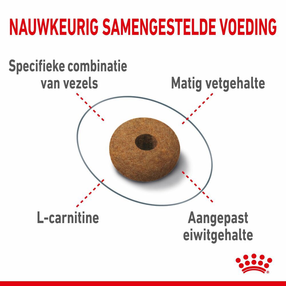 Royal Canin Appetite Control Care - Kattenvoer - 3.5 Kilogram - Gevogelte