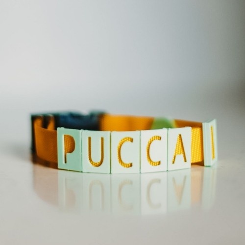 Coleira Seron personalizada para animais de estimação em nylon amarelo e verde menta.
