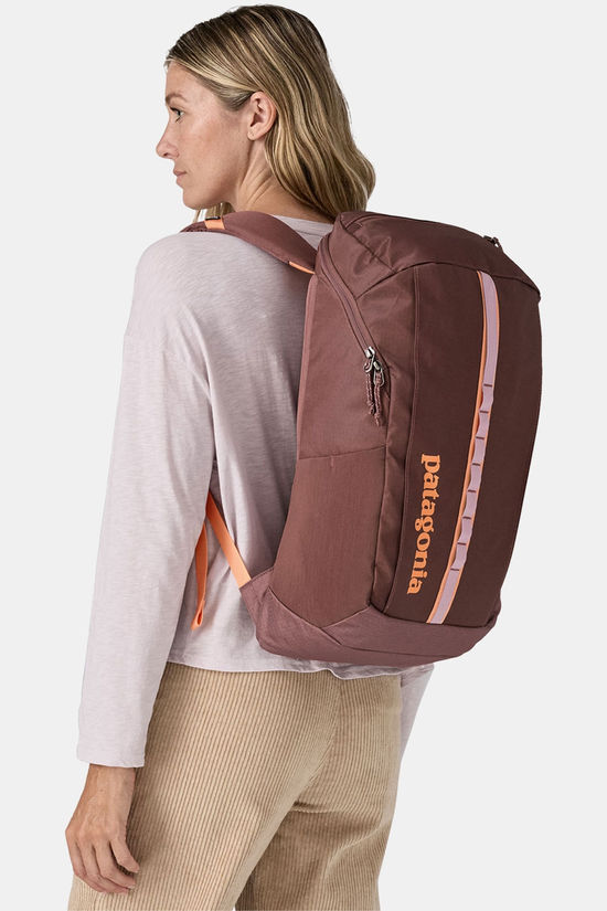 Patagonia Patagonia Black Hole Pack 25L Rugzak