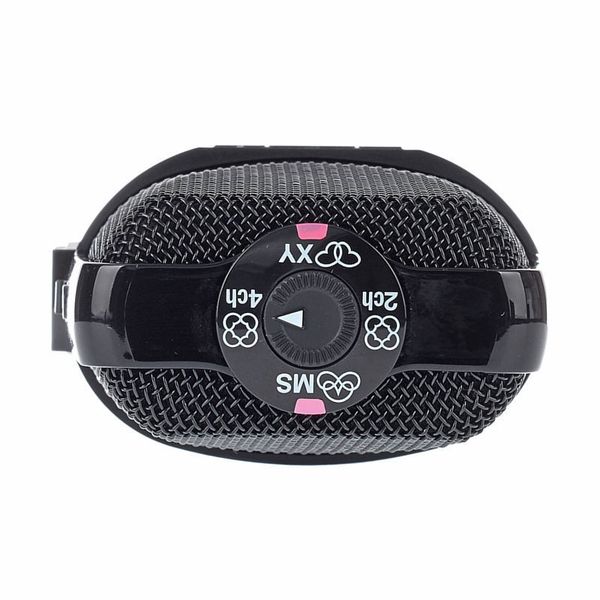 Zoom H2n