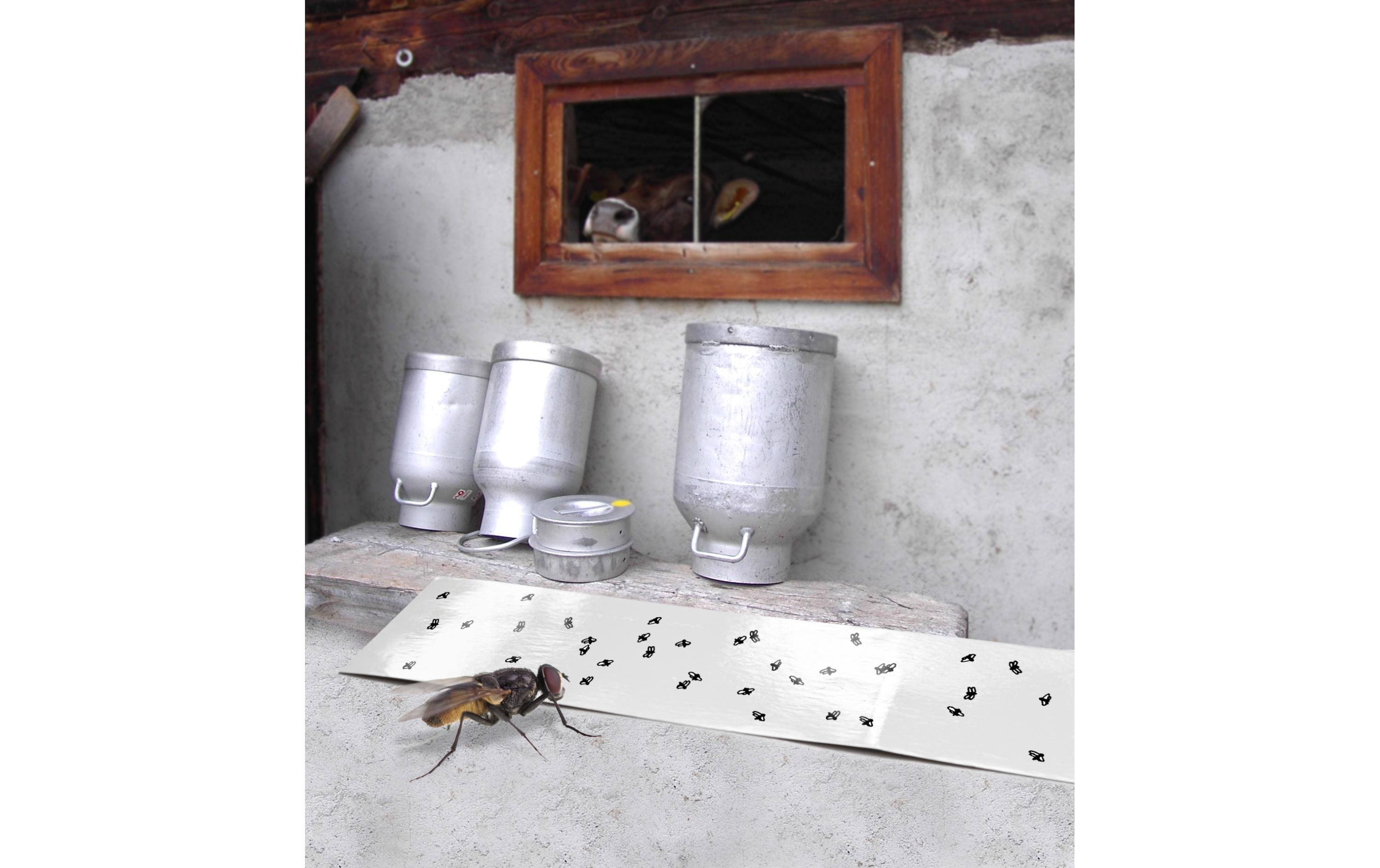 Insektenfänger Eco Fliegenfänger-PapierUmweltfreundliches Fliegenfänger-Papier