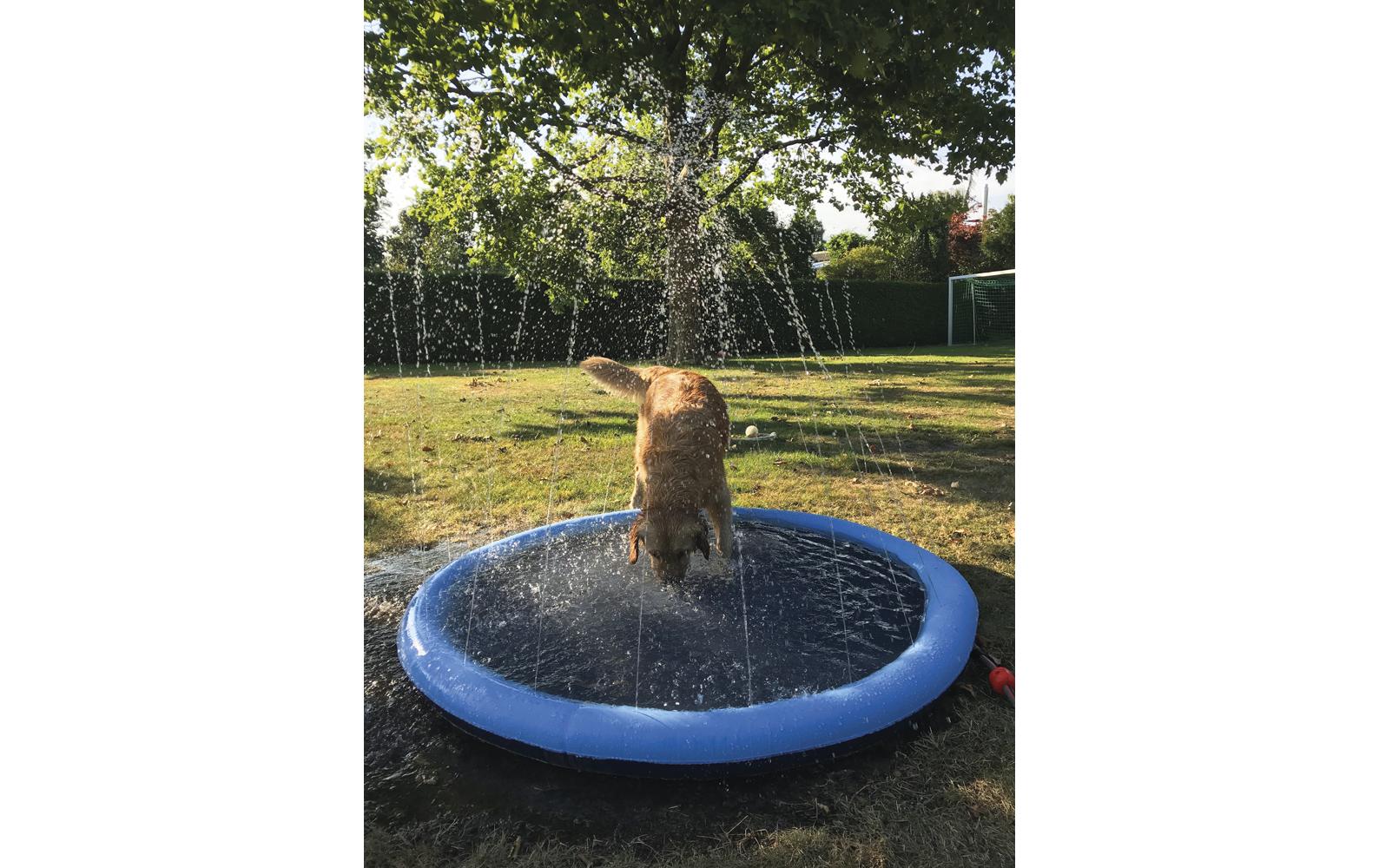 Hundepool Splash, Ø 150 cmBadespass und Abkühlung für Hunde