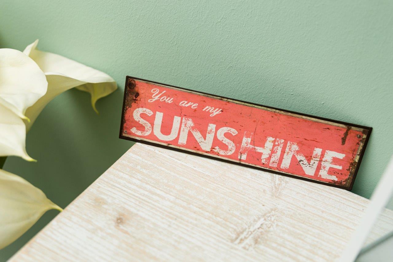 MetallschildYou are my sunshine - rot-weiß - 30 cm breit
