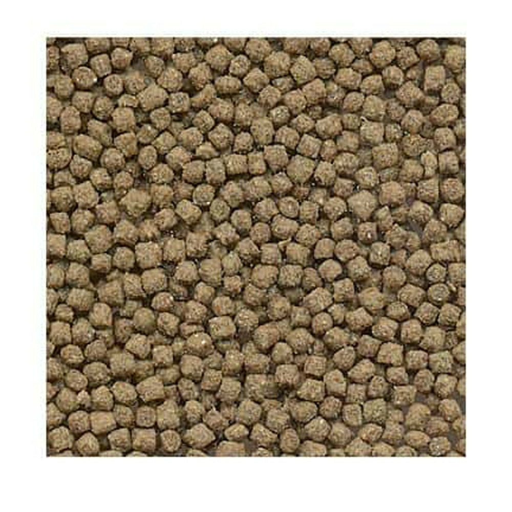 Aliment complet pour tortues d'eau, granulé 250 ml 105 g