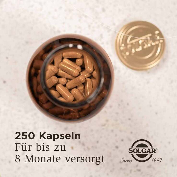 Solgar Ester-C Plus 500 mg Kapseln, 250 St