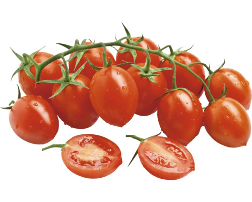Biologische dadeltomaat 'Donatellina' FloraSelf Organic Ø 13 cm pot