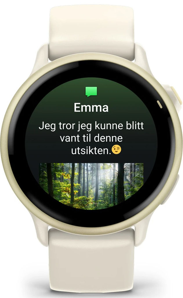 Vivoactive 6 Bone/Lunar Gold