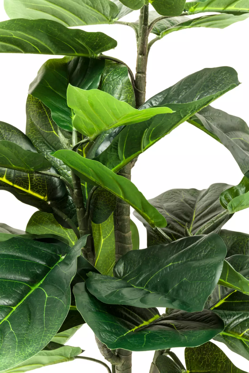 Kunstpflanze Fiddle Leaf 60723