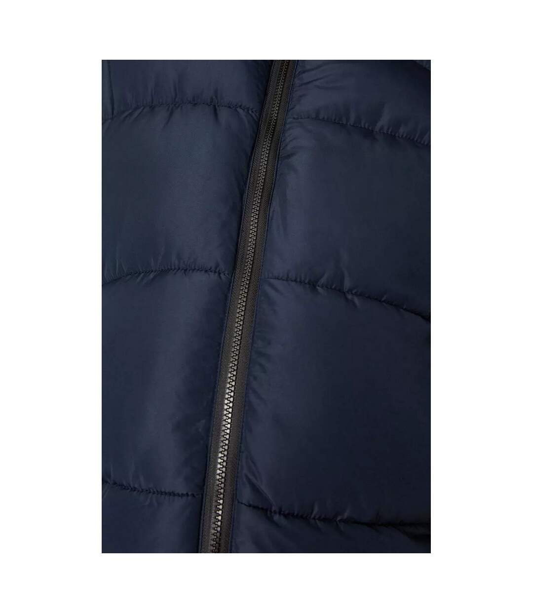 Dorothy Perkins - Manteau - Femme (Bleu marine) - UTDP550