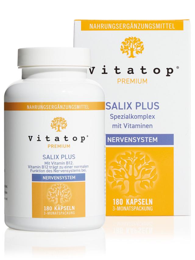 SALIX PLUS, Jahresvorrat