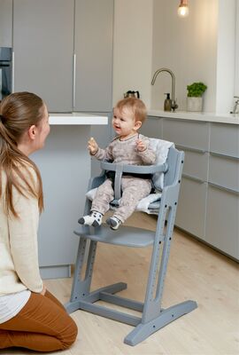 BabyDan Danstolen Matstol inkl Bøyle & Rem, Grå