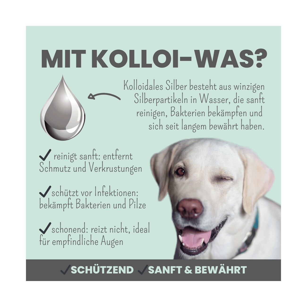 noms+ 2-in-1 Augenfein Reinigung & Pflege mit kolloidalem Silber für Hunde & Katzen 50ml