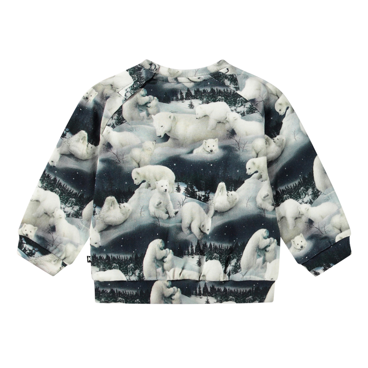 Disc - Polar Bears