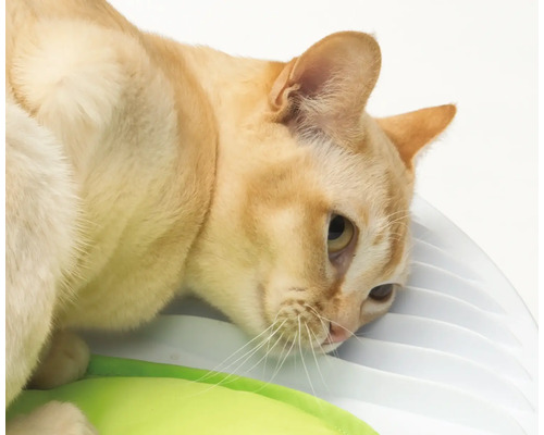 Catit Senses 2.0 Wellness Center kattenspeeltje met massagefunctie en tandvleesmassagestaafje
