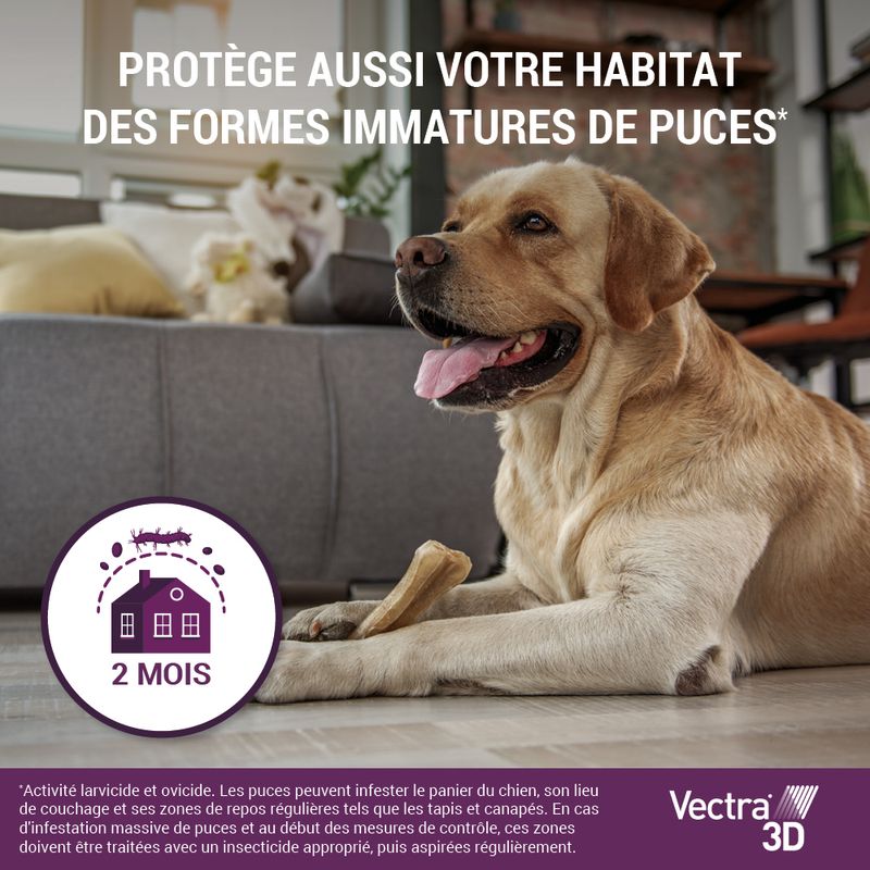 Vectra 3D Solution Spot-on pour les chiens de 1,5 à 4 kg