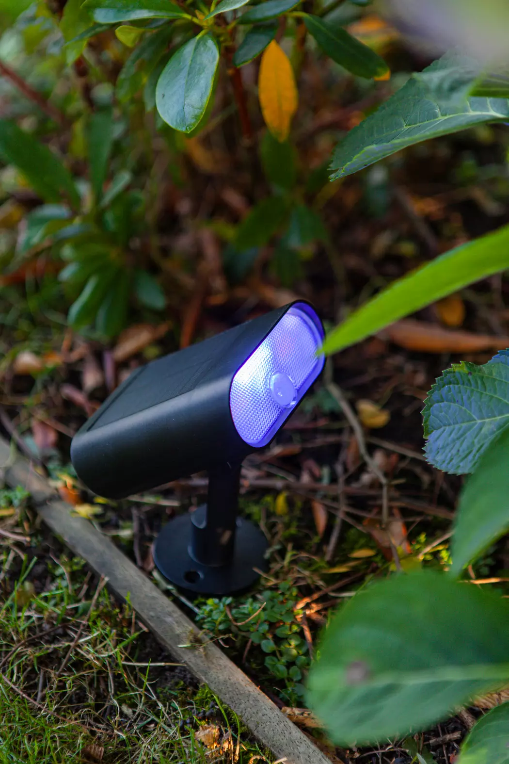 LED-Außensolarerdspieß Ginbo