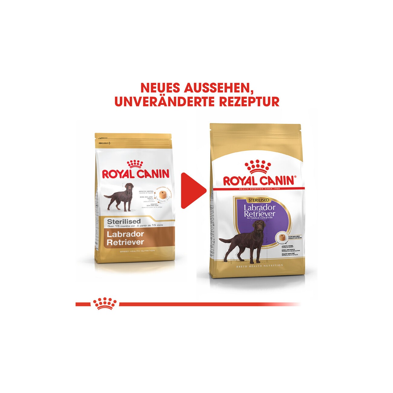 ROYAL CANIN Labrador Adult Sterilisiert 12 kg