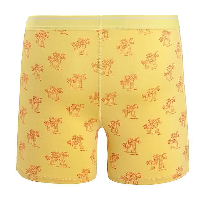 ICEBREAKER - BOXER ANATOMICA M