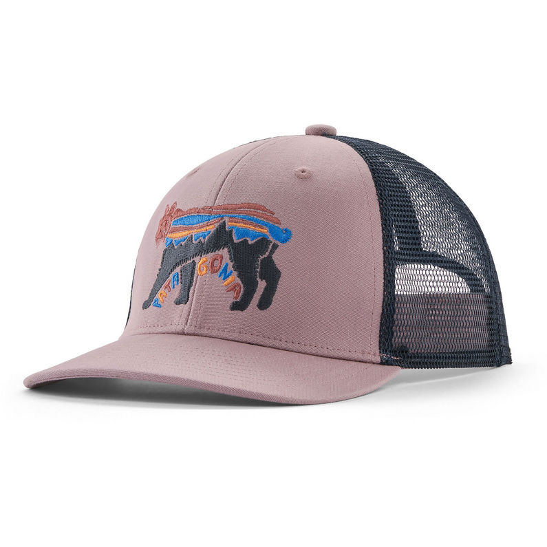 Patagonia Kinder Trucker Cap