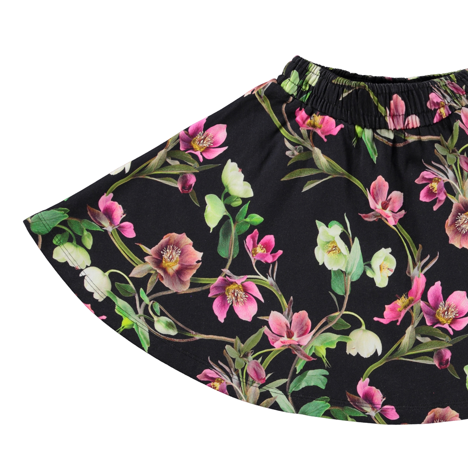 Barbera - Hellebore Black