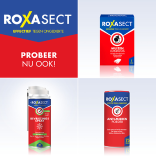 Roxasect Mierenloktoren 2ST