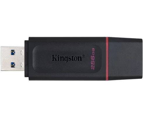 Kingston DataTraveler Exodia 256 GB