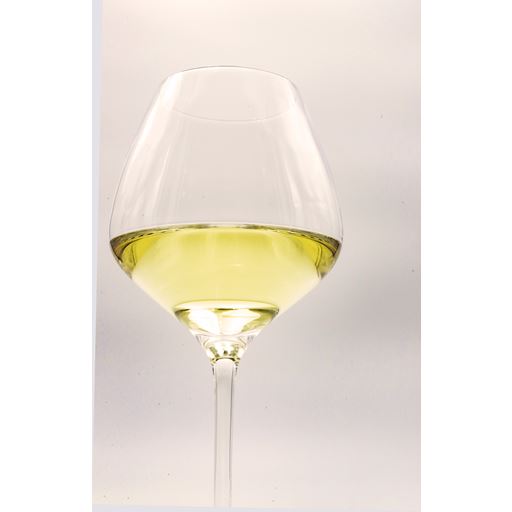 Endeavour White Sand 4-pak Hvidvinsglas, Klar, 46 cl
