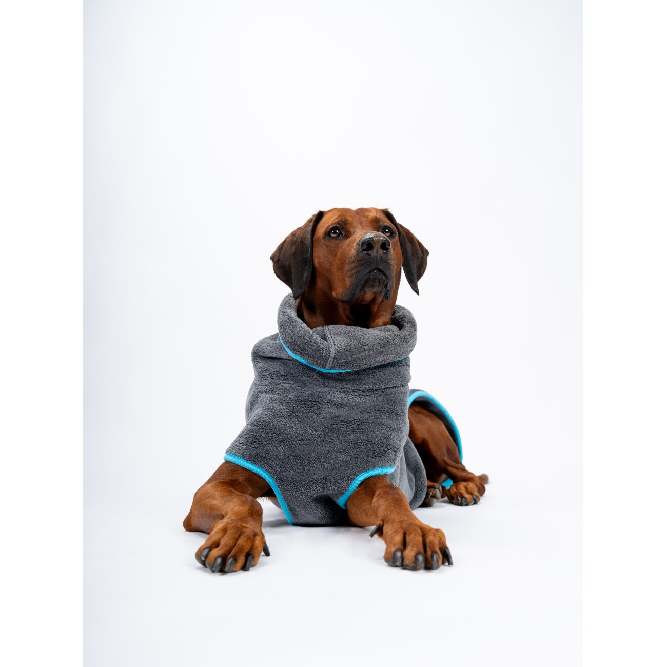 TrendPet Dampfhund Hundebademantel 25 cm