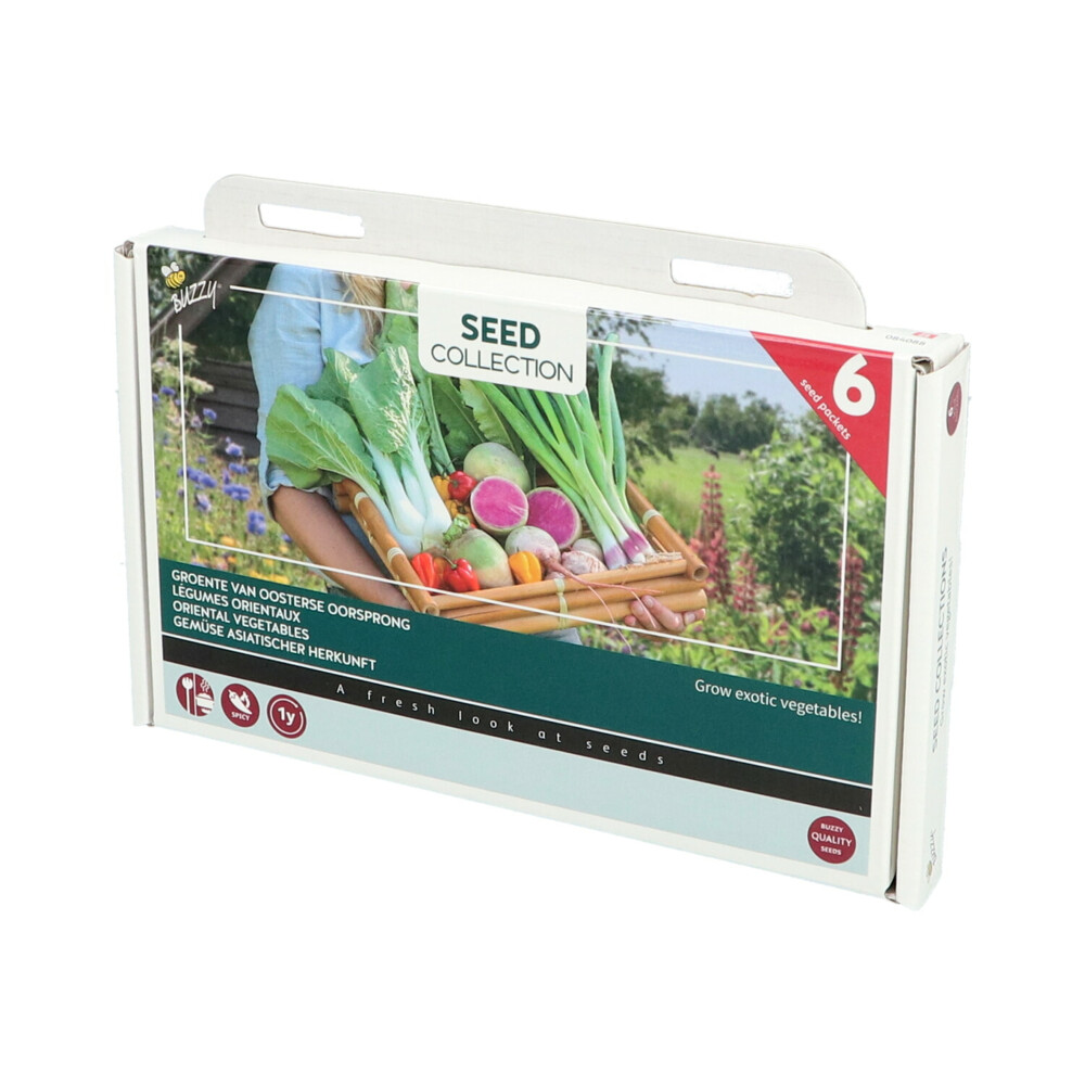 Buzzy Collection Kweekset 6 Groente Van Oosterse Oorsprong1 set