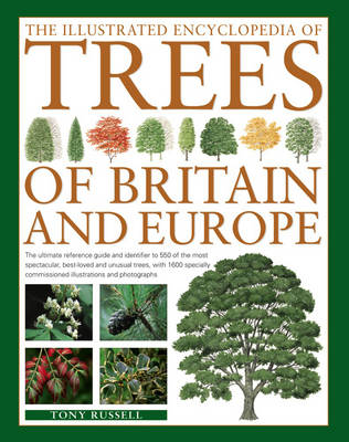 The Illustrated Encyclopedia of Trees of Britain and Europe: The Ultimate Reference Guide and Identifier to 550 of the Most Spectacular, Best-Loved and Unusual Trees, with 1600 Specially Commissioned Illustrations and Photographs (Paperback)