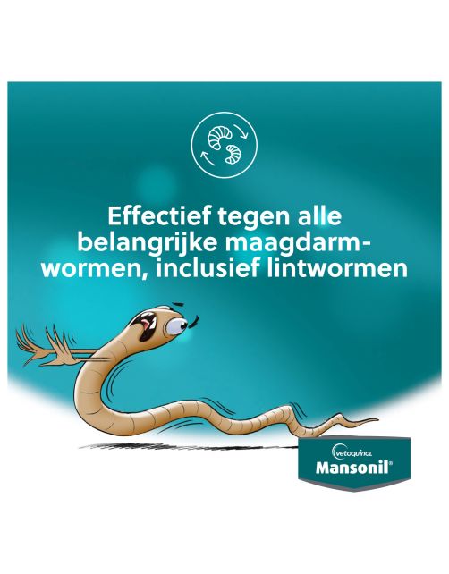 Mansonil All Worm Tablet Cat - Anti wormenmiddel - 2 tab 1 Tab Per 6 Kg Large