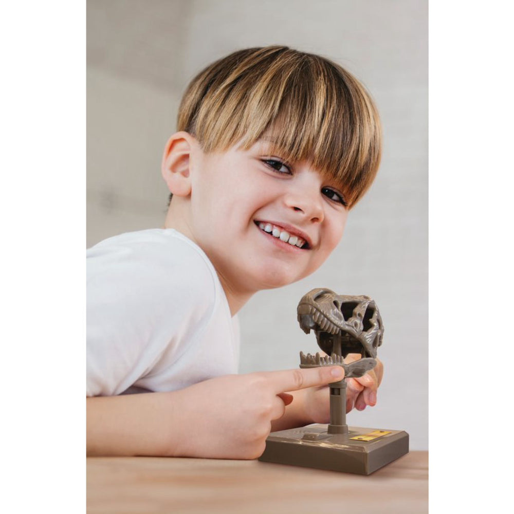 Køb 4M Kidzrobotix / Roaring T-Rex Skull
