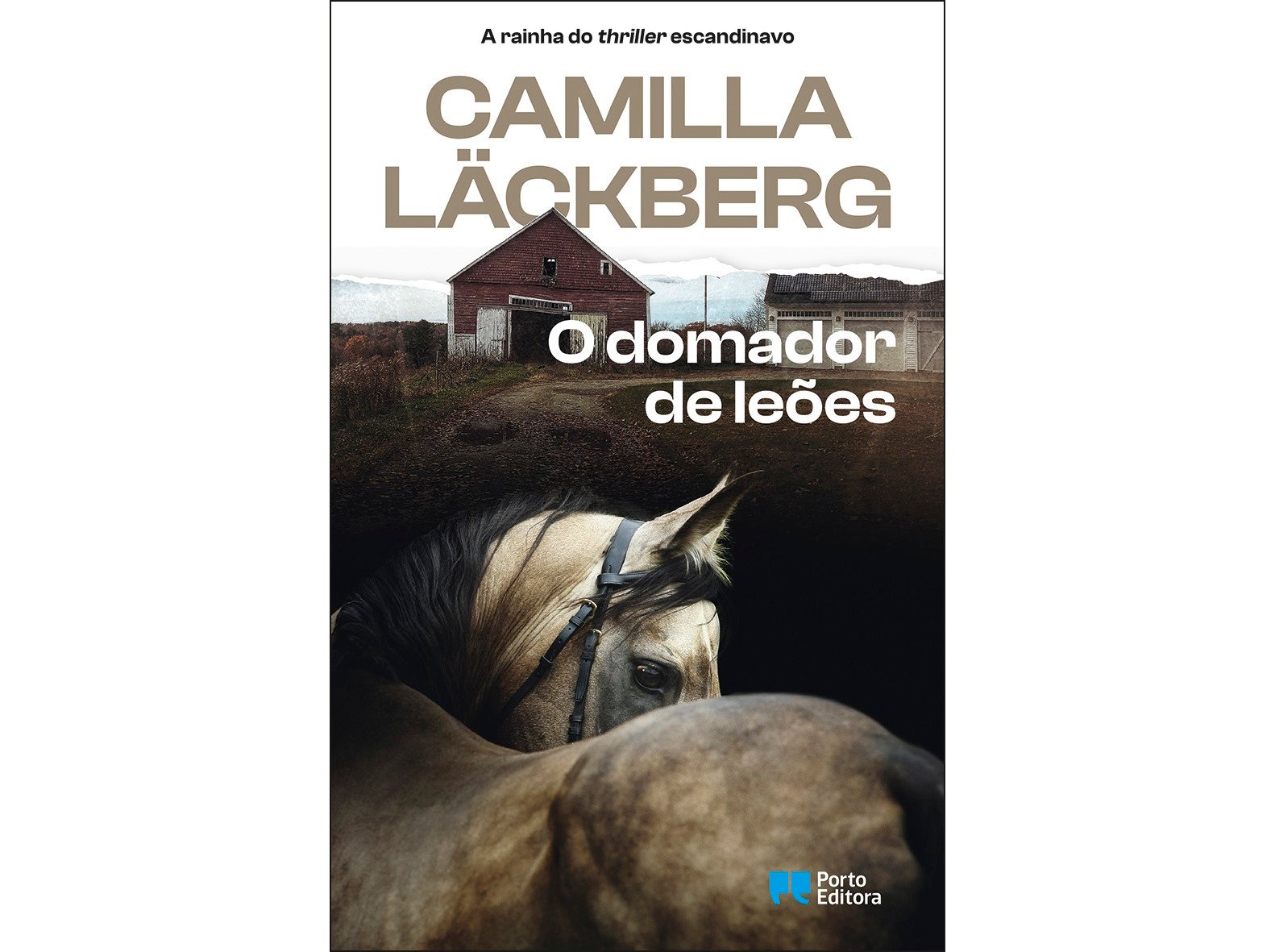 LIVRO O DOMADOR DE LEÕES DE CAMILLA LÄCKBERG