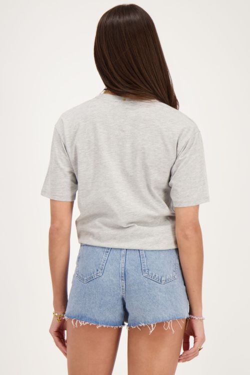 Grijs T-shirt met paars ''Rue st. honoré''
