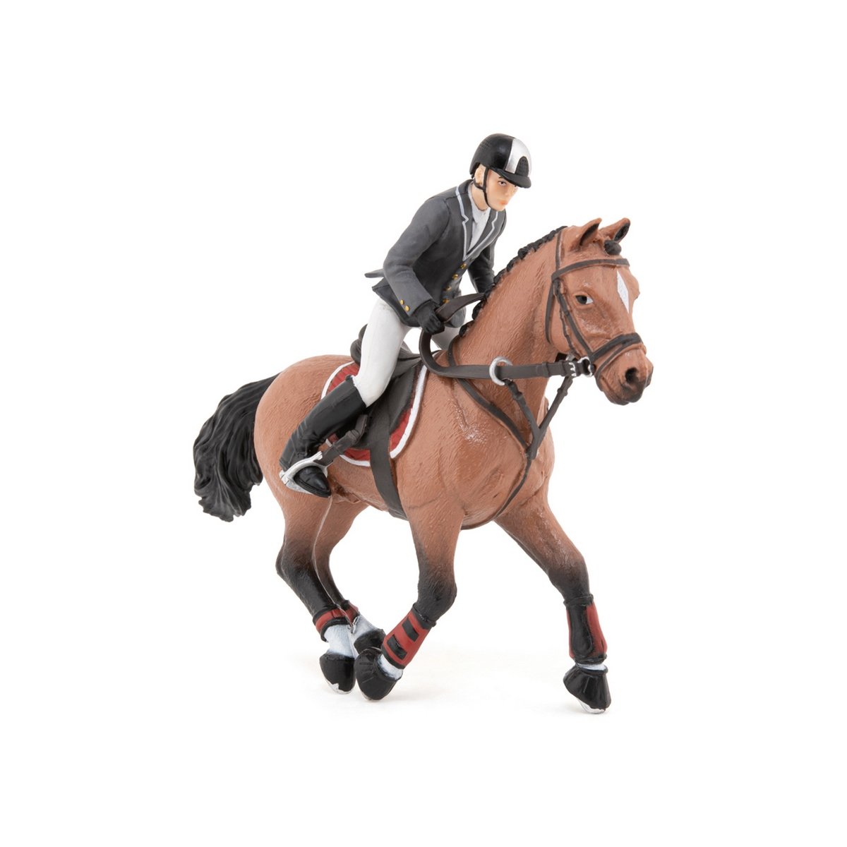 Cheval de concours et son cavalier