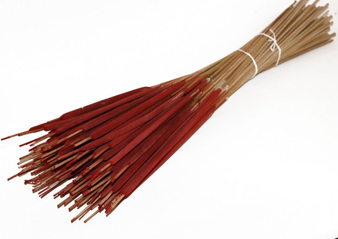 Droogbloemen Rietsigaren (Typha) rood H 60 cm