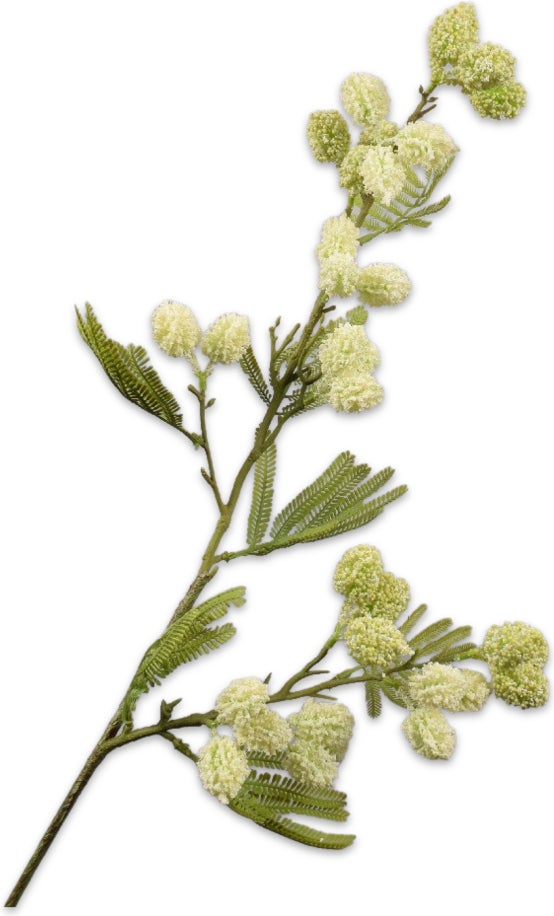 Silk-Ka kunstbloem Mimosa crème 83 cm